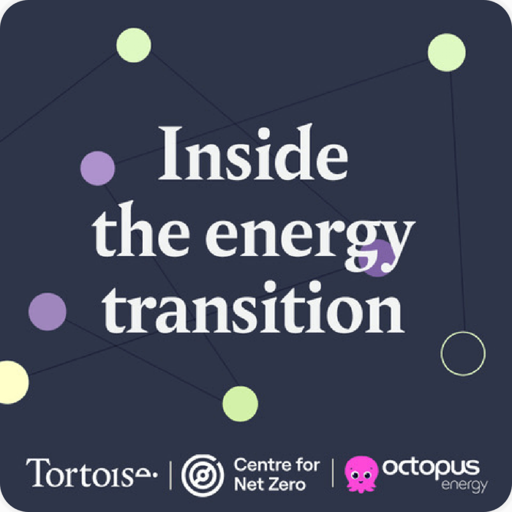 net zero insights energy transition